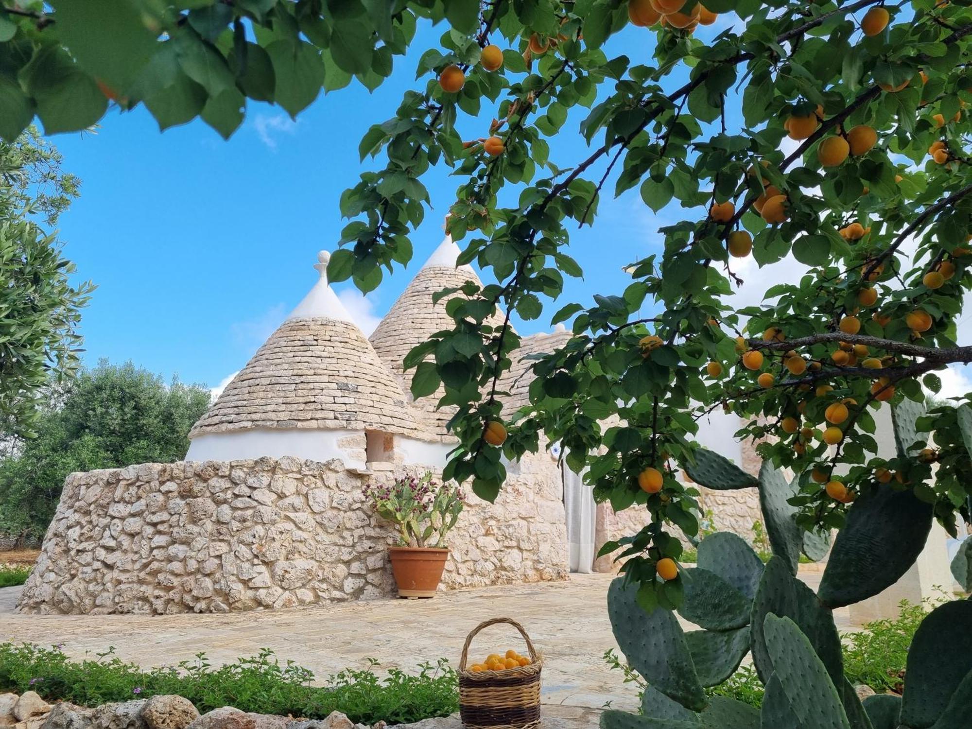 Trulli Di Spinaruta Bed & Breakfast Grottaglie Ngoại thất bức ảnh